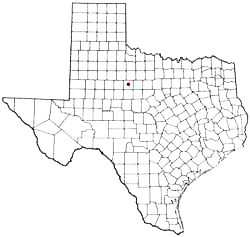 Anson Texas Birth Certificate Death Marriage Divorce
