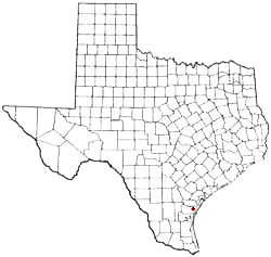 Corpus Christi Texas Birth Certificate Death Marriage Divorce