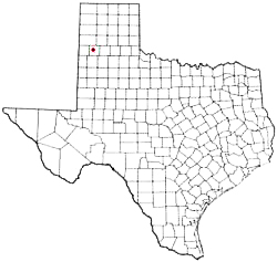 Dimmitt Texas Birth Certificate Death Marriage Divorce