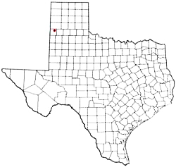 Friona Texas Birth Certificate Death Marriage Divorce