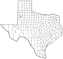 Levelland Texas Birth Certificate Death Marriage Divorce